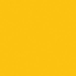 Meet your Posher, Celeste